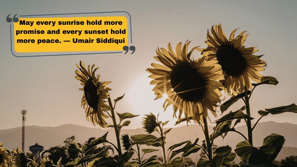Inspirational Sunset Quotes and Captions