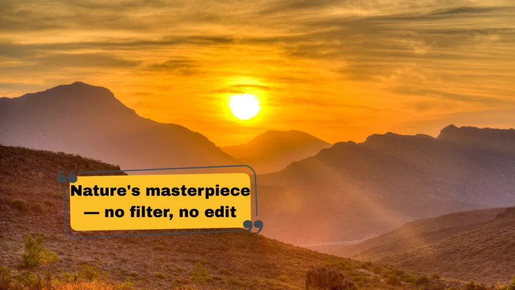 Aesthetic Sunset Captions for Your Instagram Feed