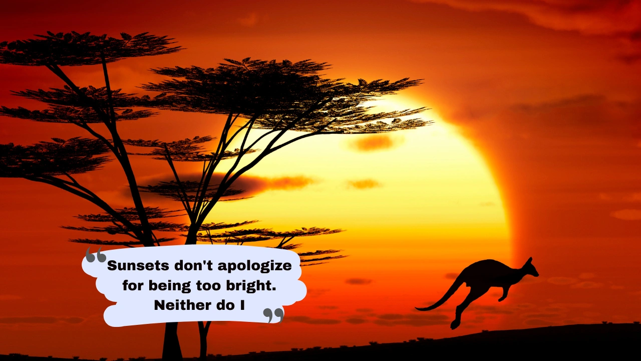 190+ Sunset Captions for Instagram – Romantic, Aesthetic & Short Ideas