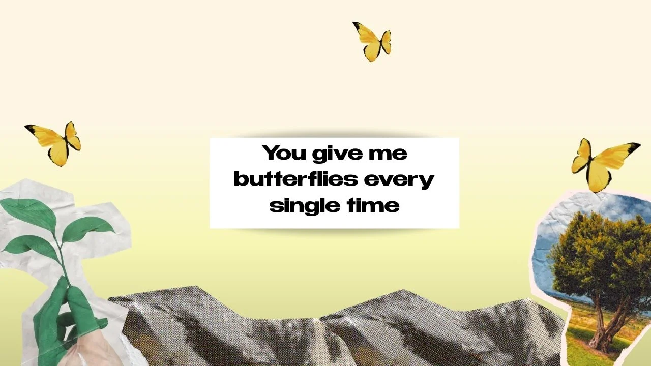 250+ Butterfly Captions for Instagram: Perfect for Nature & Aesthetic Shots
