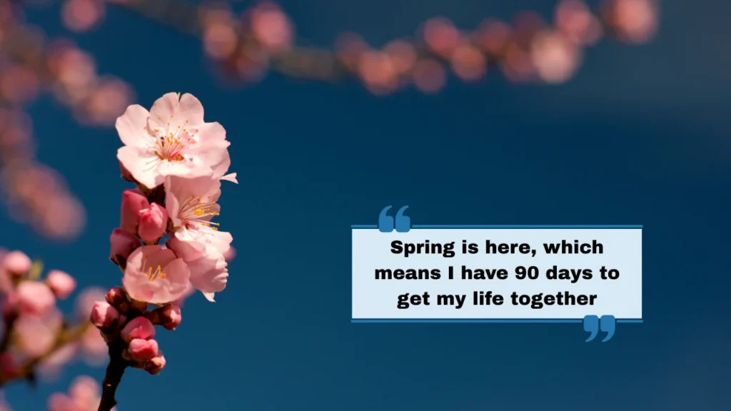 Short & Sweet Spring Instagram Captions