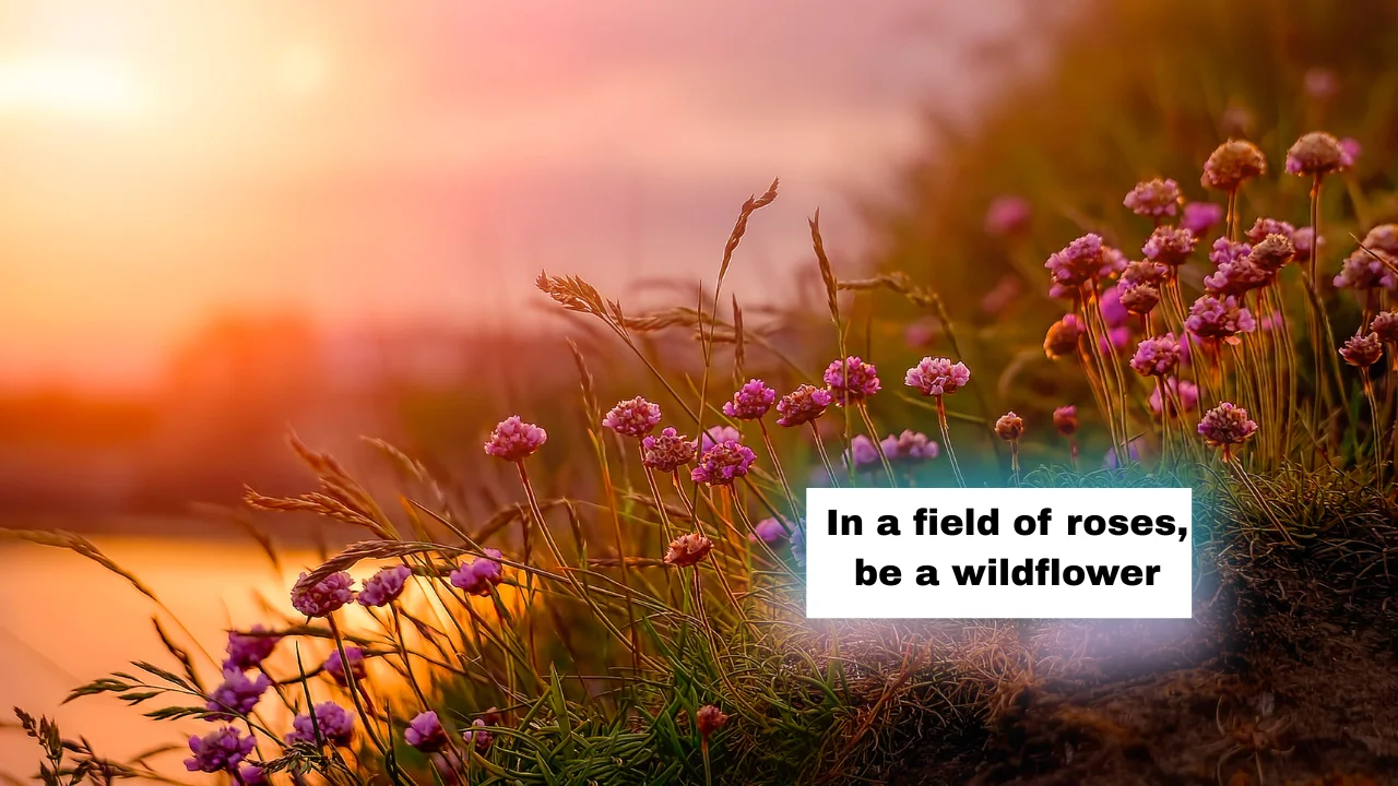 Best Spring Captions for Instagram in 2026 (Cute, Funny & Aesthetic)