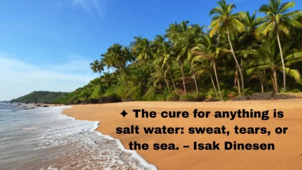 Vibe Captions & Sea Captions That Competitors Don't Cover