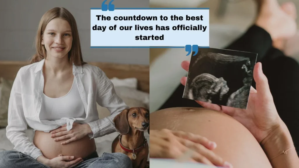 Cute & Heartfelt Pregnancy Captions for Instagram