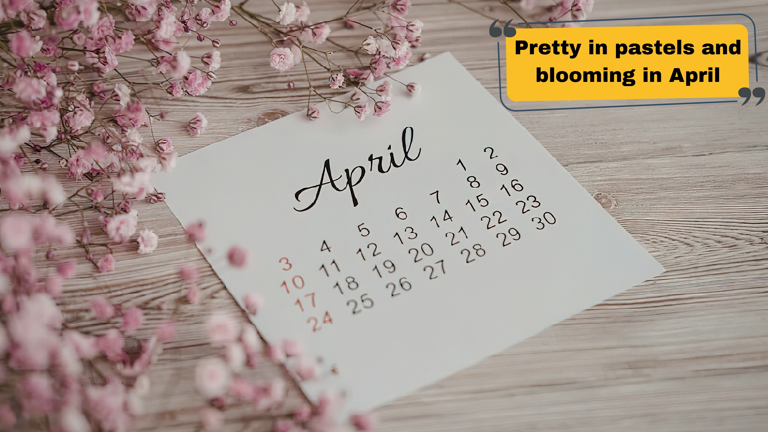 150+ April Captions for Instagram – Cute, Funny & Spring Vibes