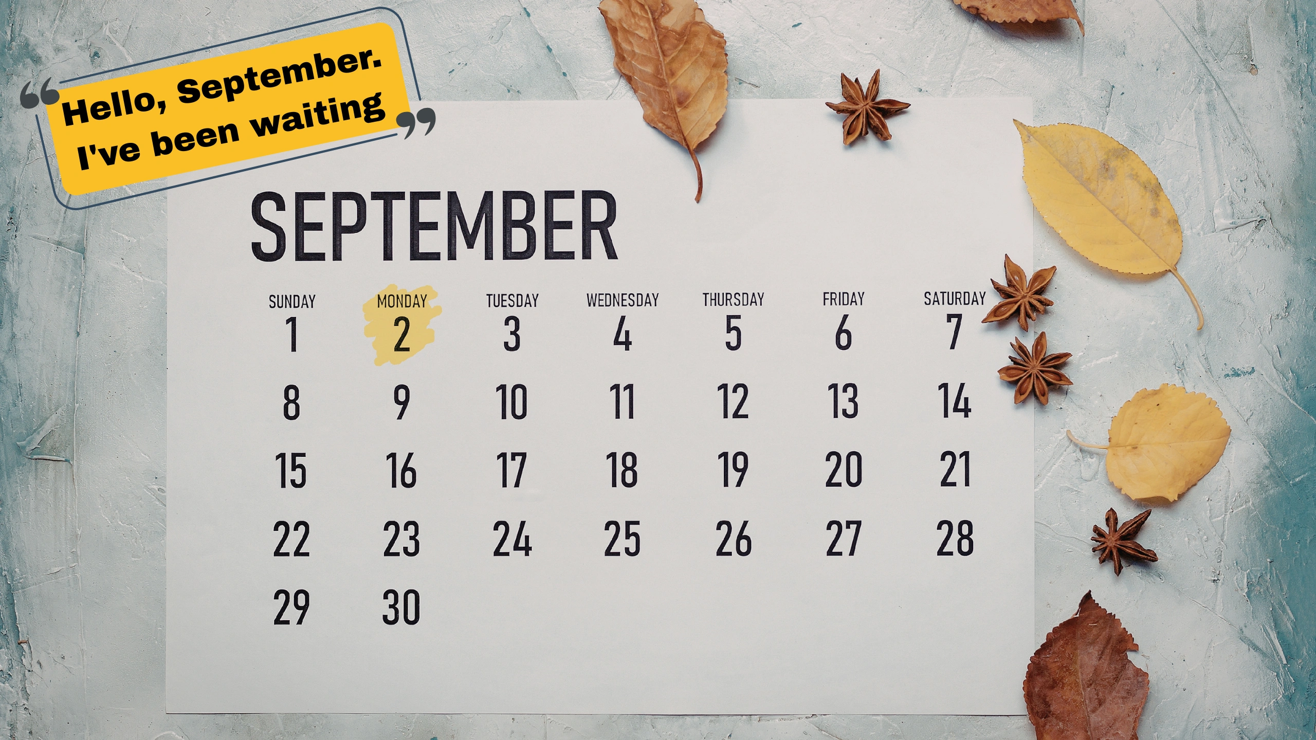 150+ September Captions for Instagram – Fall Vibes, Cozy & Aesthetic Ideas