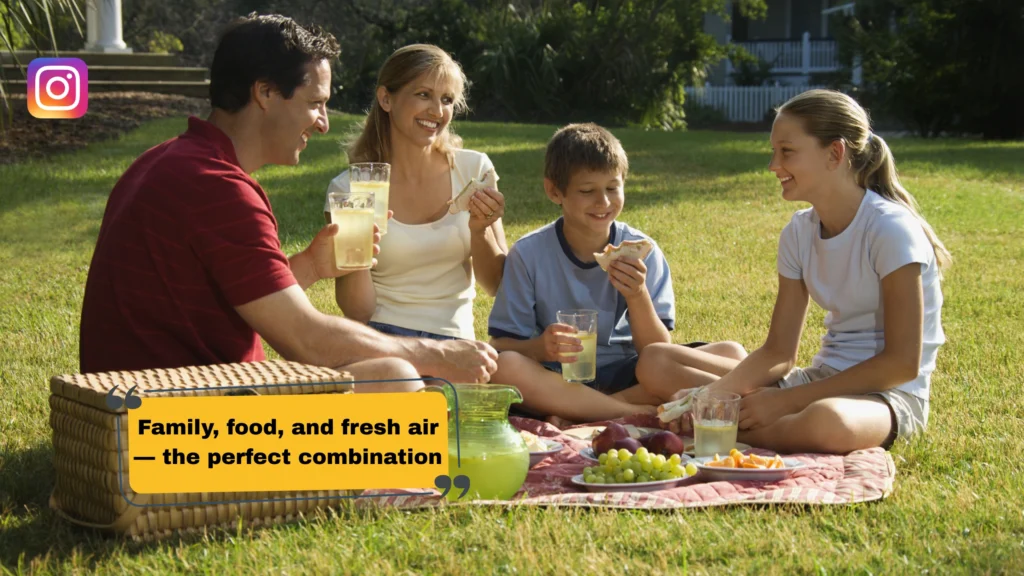 Picnic Quotes & Words That Go Perfectly With Your Post