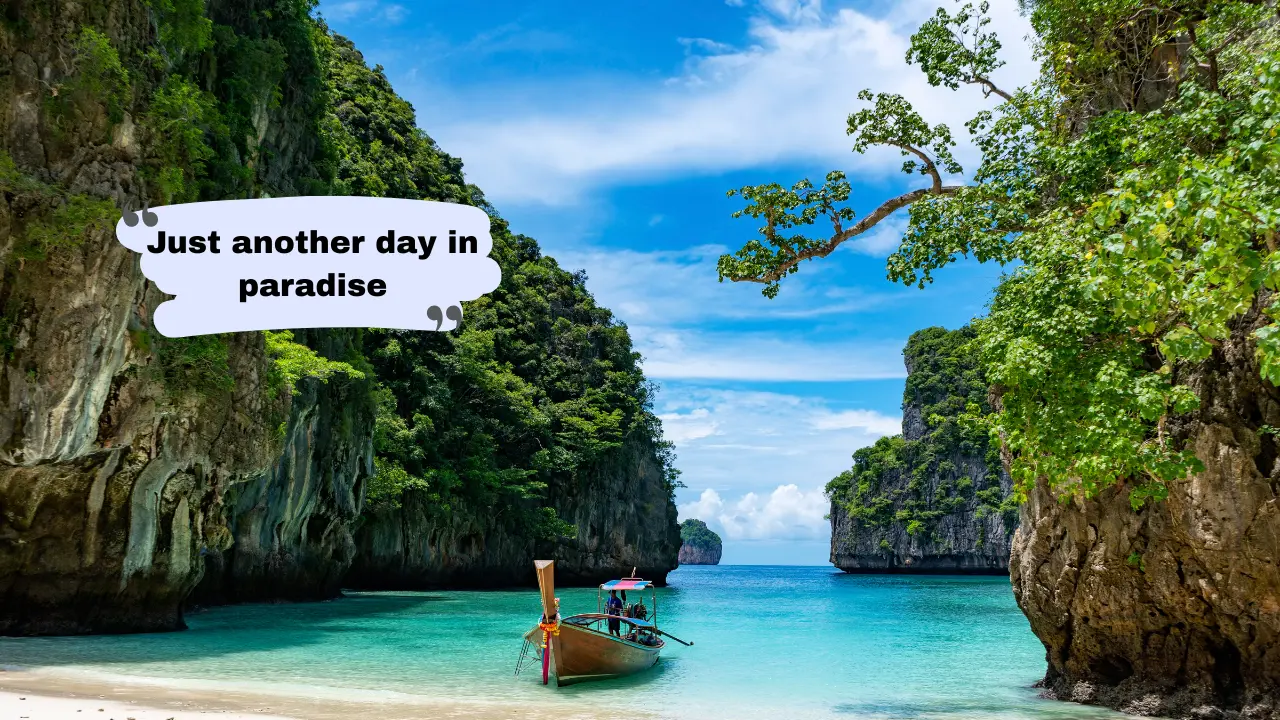 120+ Tropical Captions for Instagram: Cute, Fun & Island Vibes