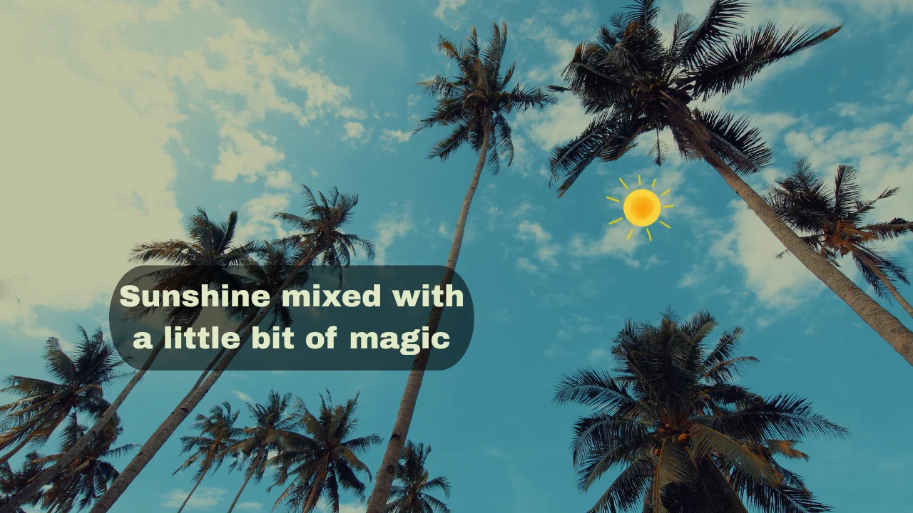 Best Summer Captions for Instagram (Short, Cute & Funny)