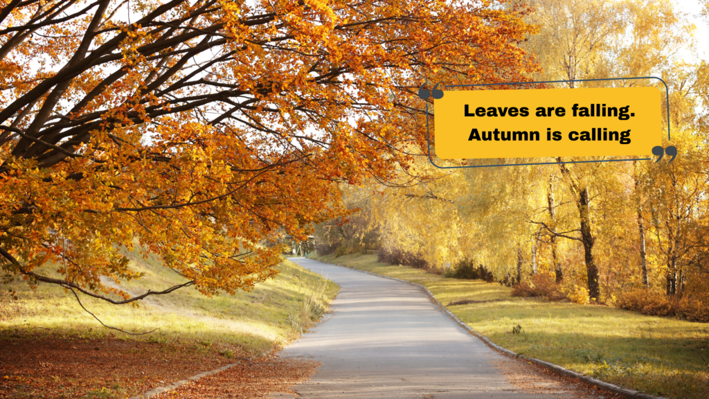 150+ Best Autumn Captions for Instagram β Every Vibe, Every Mood