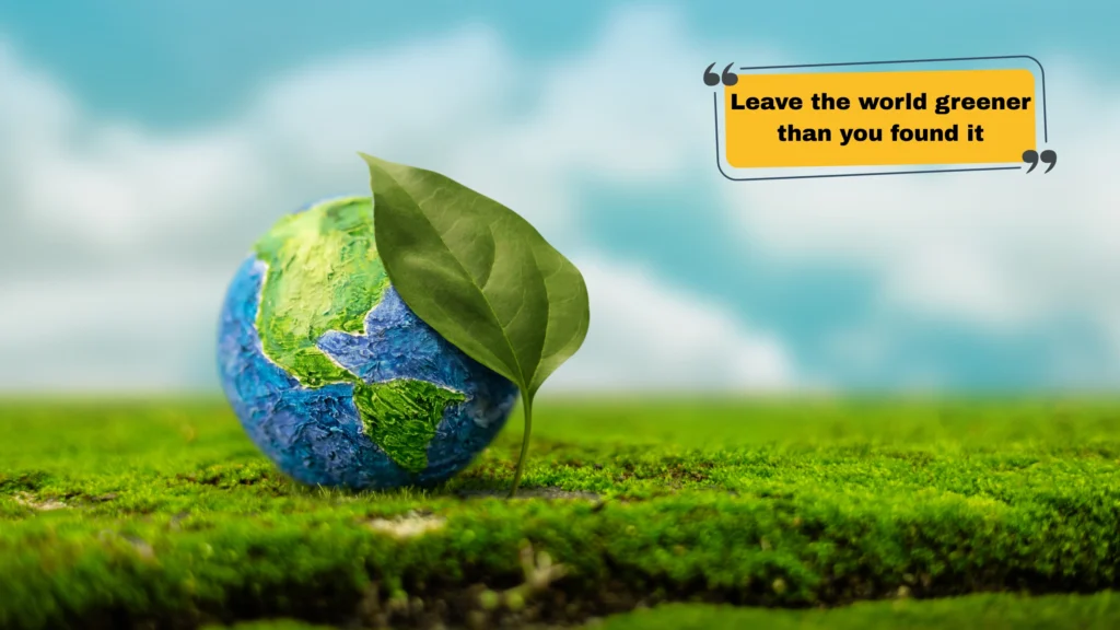 150+ Best Environmental Awareness Captions to Inspire Change and Go Green