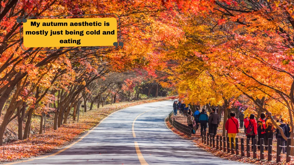 Funny, Savage & Clever November Captions