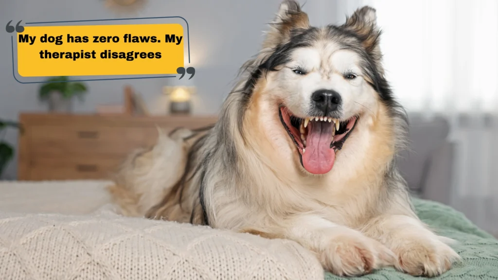 Funny Dog Captions for Instagram