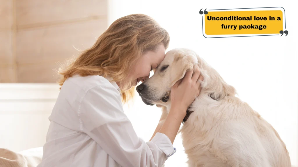 Best Pet Captions for Instagram by Pet Type