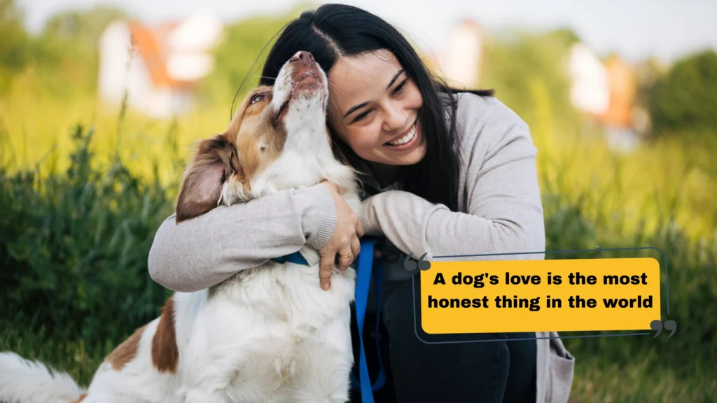 Dog Love Captions for Instagram