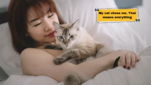 Best Pet Captions for Instagram to Show Off Your Furry Friend