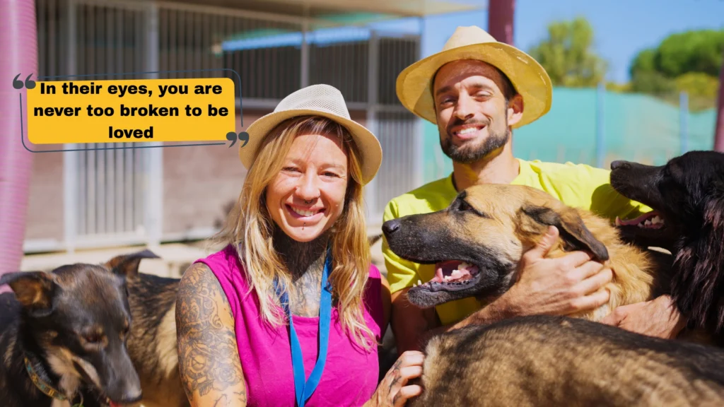 Cute Animal Captions for Instagram That'll Melt Every Heart