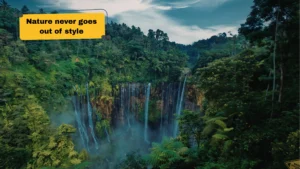 150+ Nature Captions for Instagram That Capture the Beauty of the Outdoors