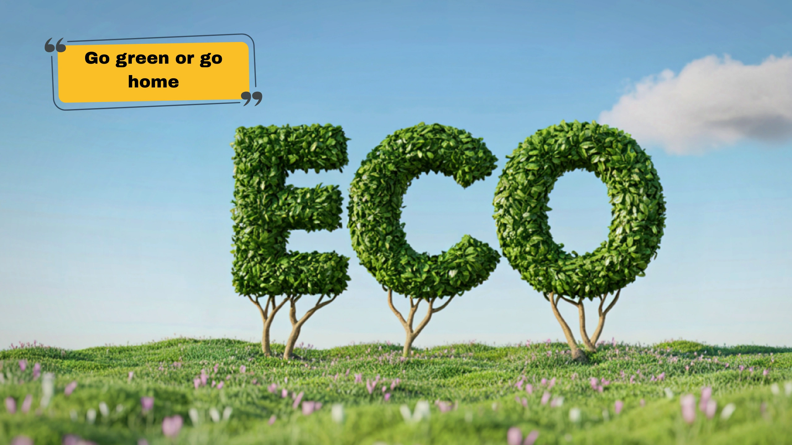 150+ Environmental Awareness Captions to Inspire Change and Go Green