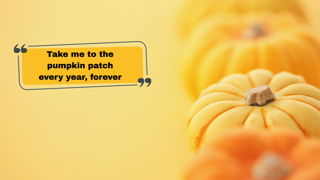 Pumpkin Patch & Apple Picking Captions