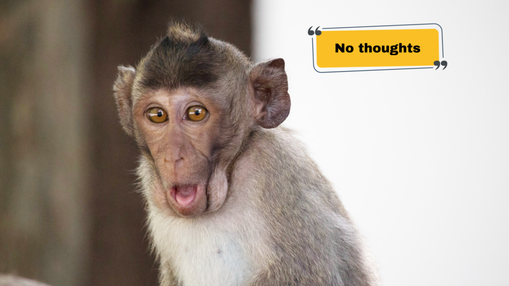 Short Meme Captions for Instagram