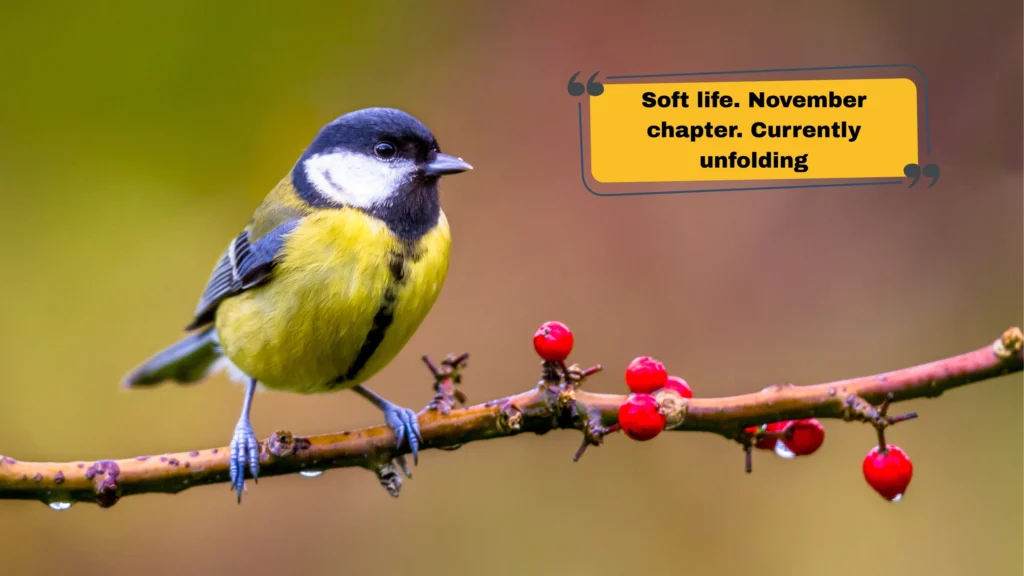 Gen Z November Captions