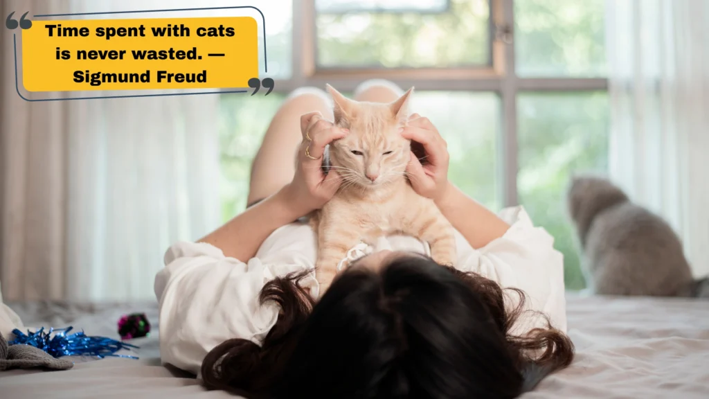 Best Cat Quotes for Instagram From Famous Cat Lovers