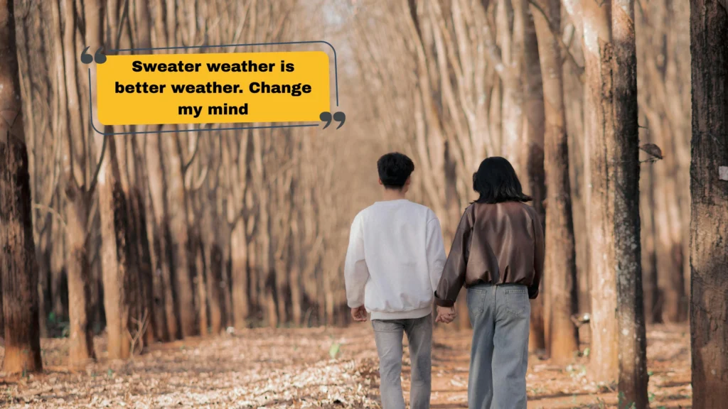 Sweater Weather Captions