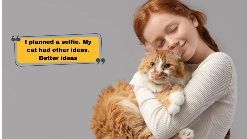 Cute Cat Captions for Instagram That'll Melt Every Heart