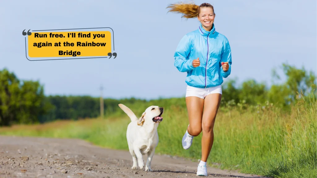 How to Write the Perfect Pet Caption for Instagram