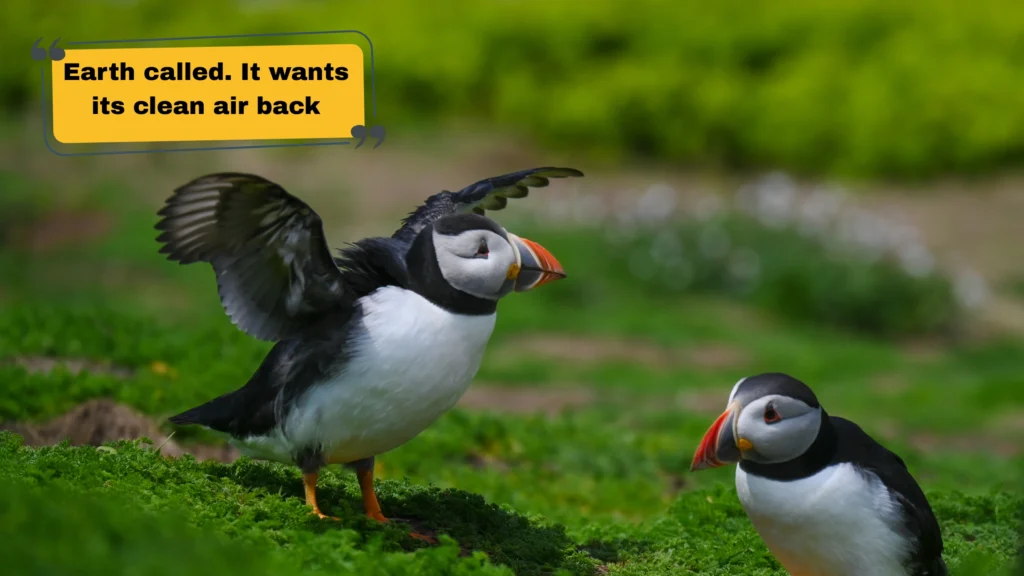 Funny & Witty Save Earth Instagram Captions