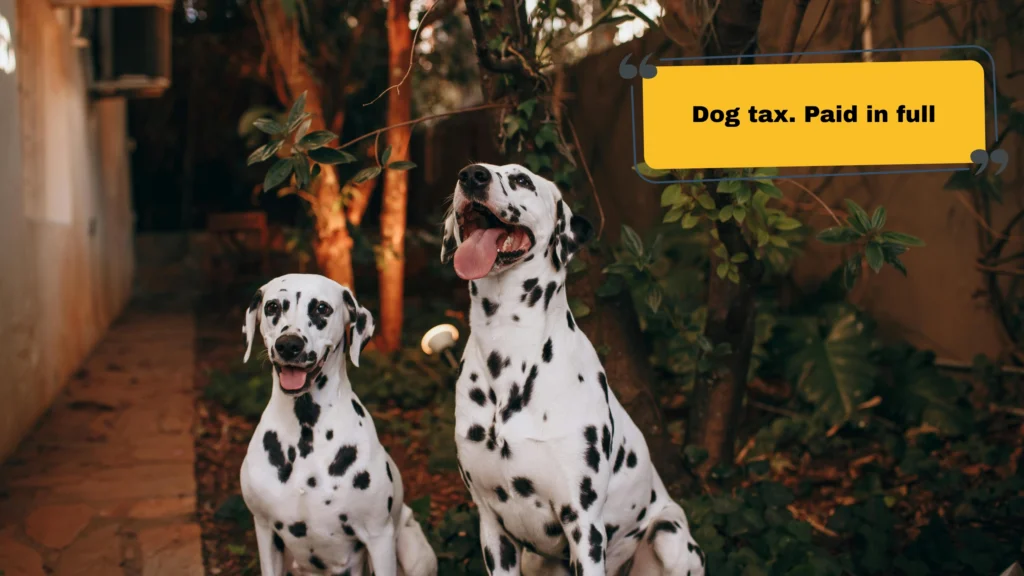 One Word and Super Short Dog Captions