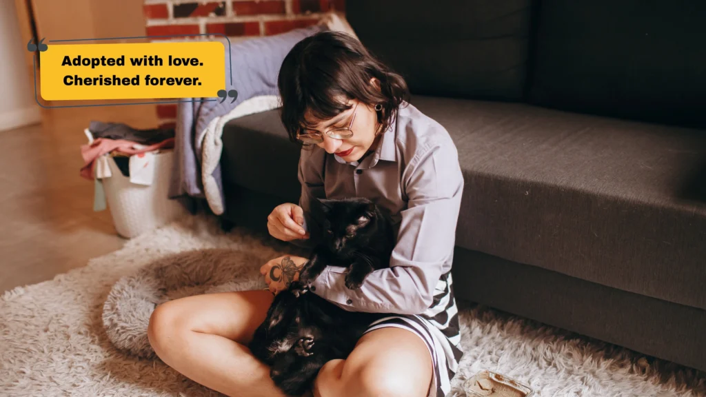 Adopt Don't Shop & Rescue Pet Captions