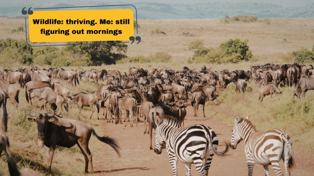 Wild & Exotic Animal Captions for Instagram