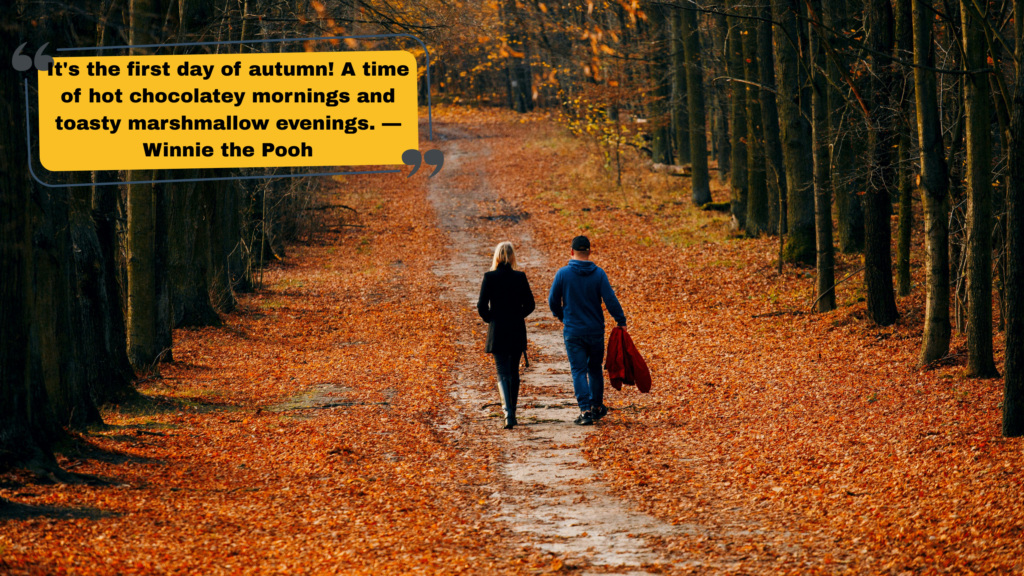 Aesthetic Fall Captions for Instagram