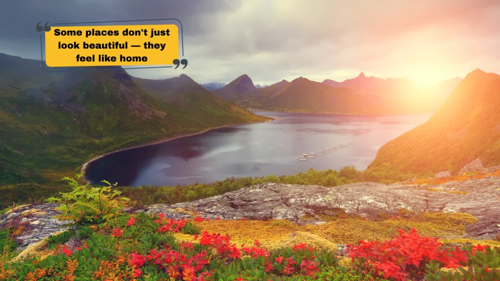 Deep & Meaningful Nature Captions That Go Beyond the Basics