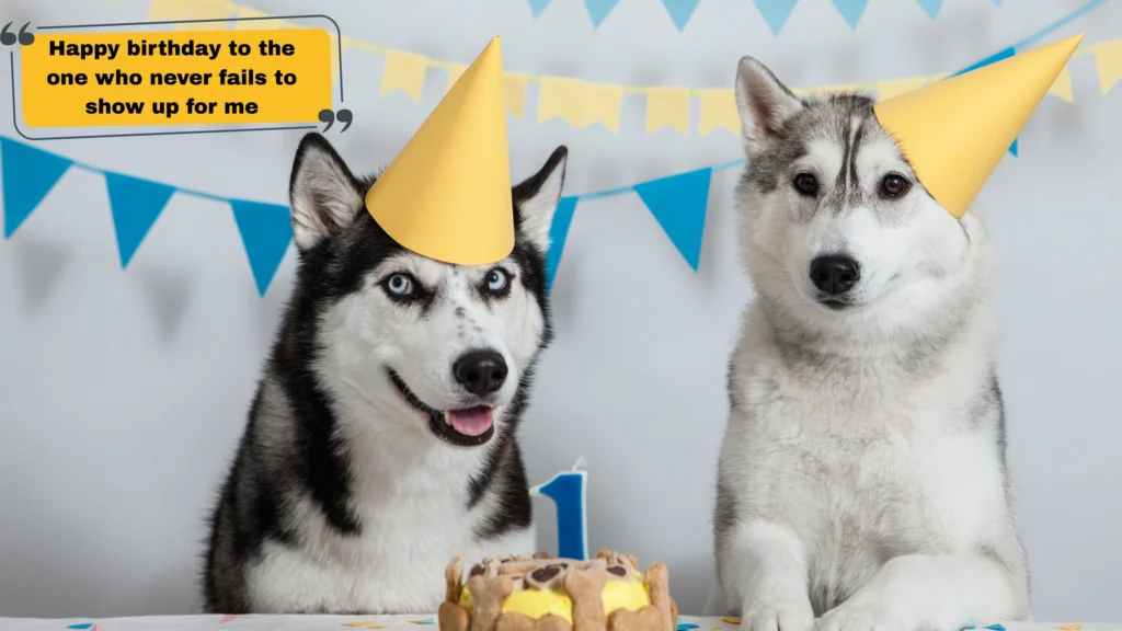 Dog Birthday Captions for Instagram