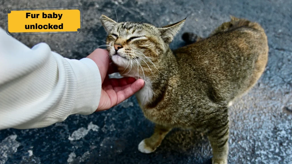 Cute & Short Pet Captions for Instagram That Stop the Scroll