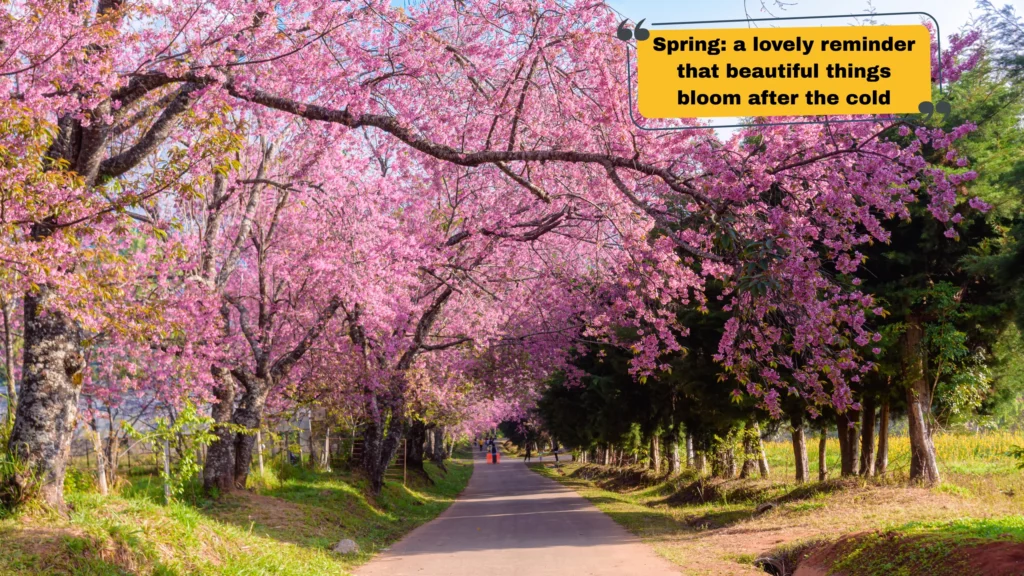 Nature Captions for Every Season & Special Outdoor Moment