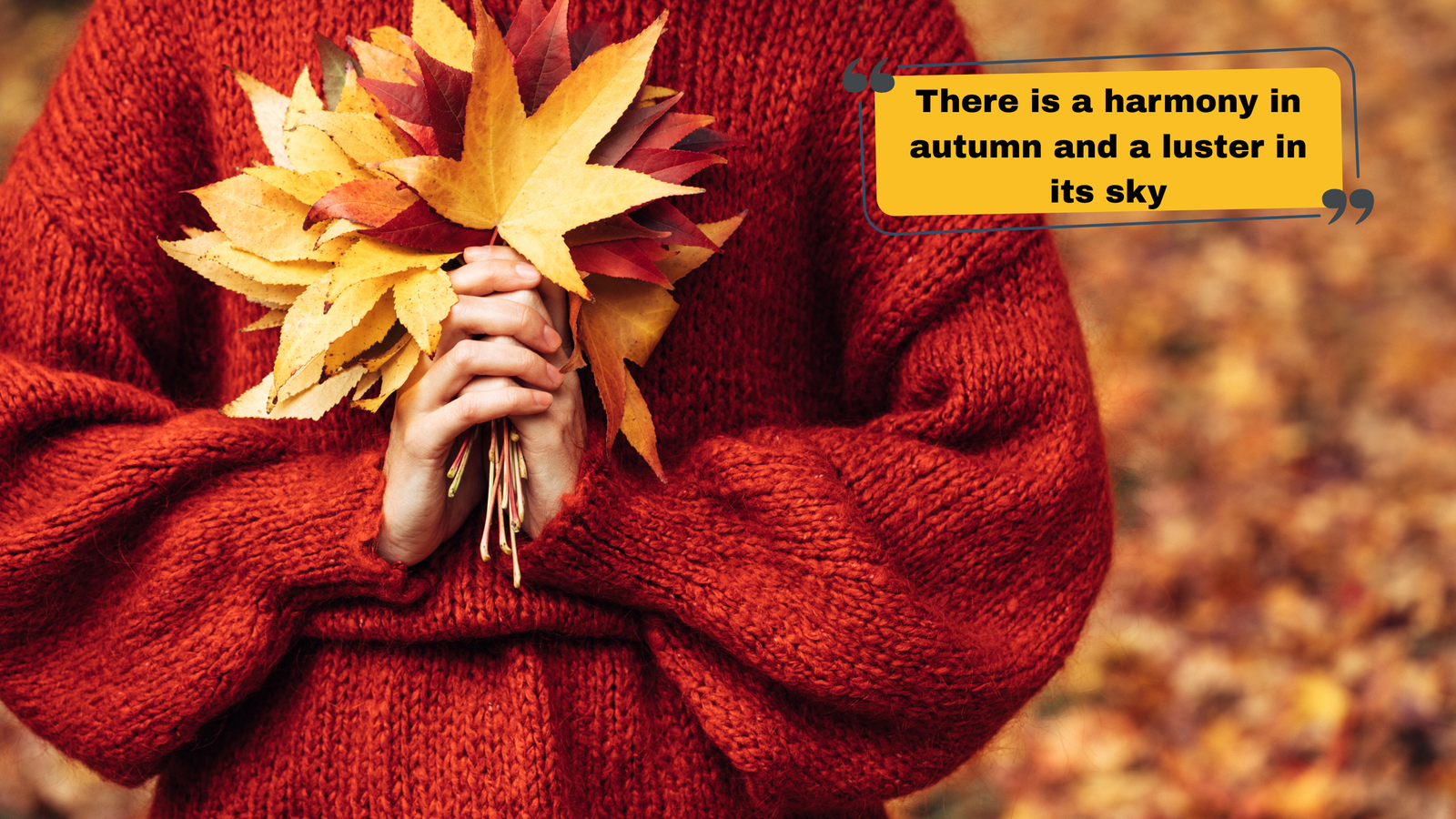 150+ Autumn Captions for Instagram – Cozy, Aesthetic & Fall Vibes